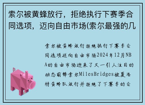 索尔被黄蜂放行，拒绝执行下赛季合同选项，迈向自由市场(索尔最强的几个状态)