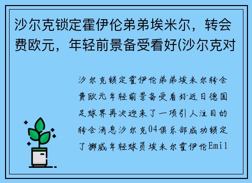 沙尔克锁定霍伊伦弟弟埃米尔，转会费欧元，年轻前景备受看好(沙尔克对霍分海姆)